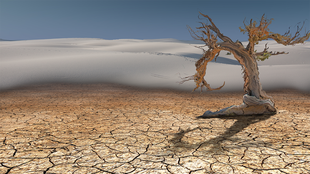🔥 ¿Cuánto Tiempo Queda Para que la Vida Vegetal Se Apague? 10 Años