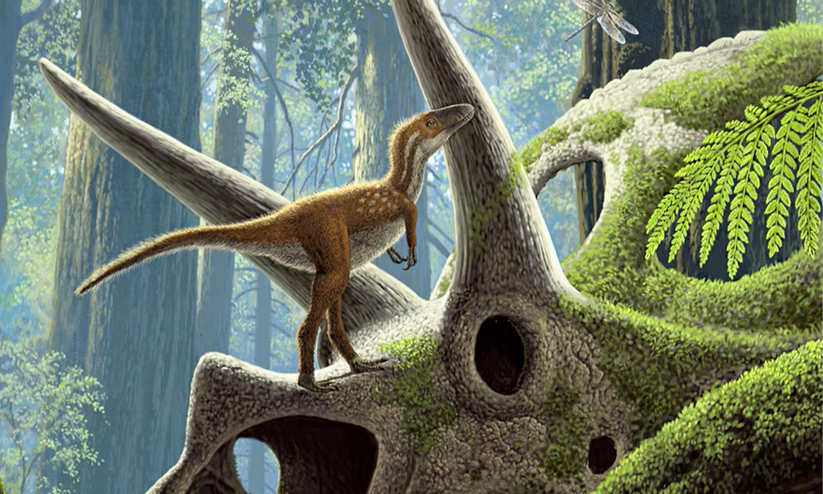🤖 ¿Baby T-rex en Tu Jardín? 3 Razones Por Las Que Deberías Cuidar tu