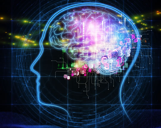 🧠 ¿EI Alta o Solo Es Un Titulo Engañoso