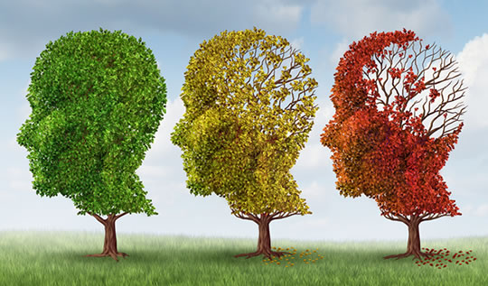 🤓 ¿Ultrasuono para el Alzheimer? Ya te contamos si funciona o solo es