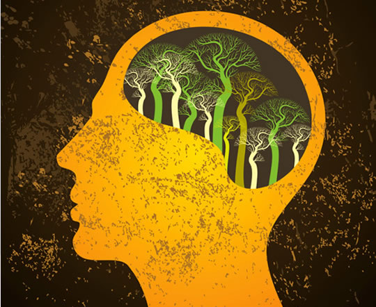 💻 ¿Por Q Sientes q Eres Más Inteligente y Alt@? (10 Razones)