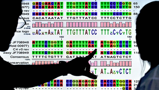 🧠 ¿Genética o Magia? El Truco Genético Que Cambiará Todo Sí O No