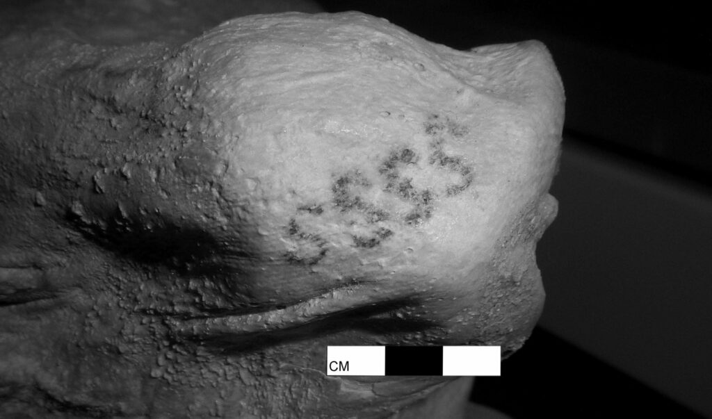 🔥 ¿Tatuajes Milenarios? 5,000 Años en un Mummificado Egiptiano