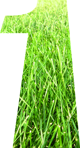 🌱 ¿Tu Jardín Comestible Te Hace Verde O Solo Come Cielo