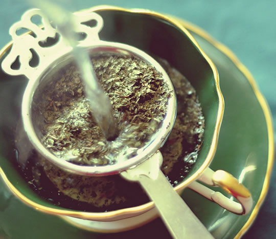 🌱 ¿Green Tea Extract te hace recordar más o solo te hidrata