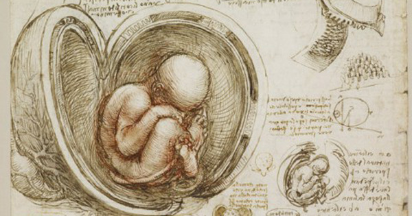🧠 ¿Da Vinci Sabía Codificar? Anatomía x Cyberseguridad