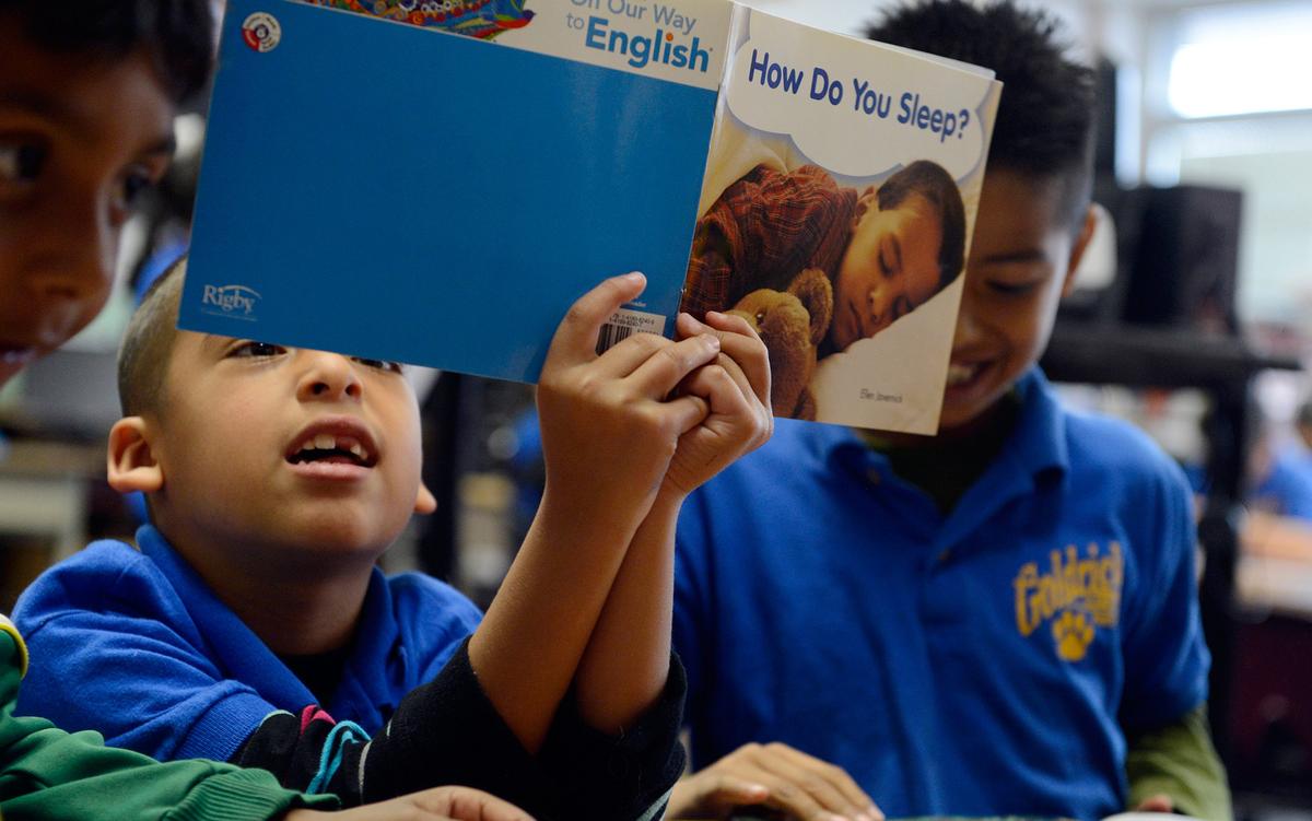 🌐 ¿El USA Haciendo Inglés Oficial? Ya Ves, Como En MX…