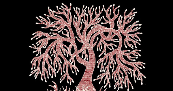 🌱 ¿Qué Tan Social Eres, Árbol? 7 Vidas de un Árbol
