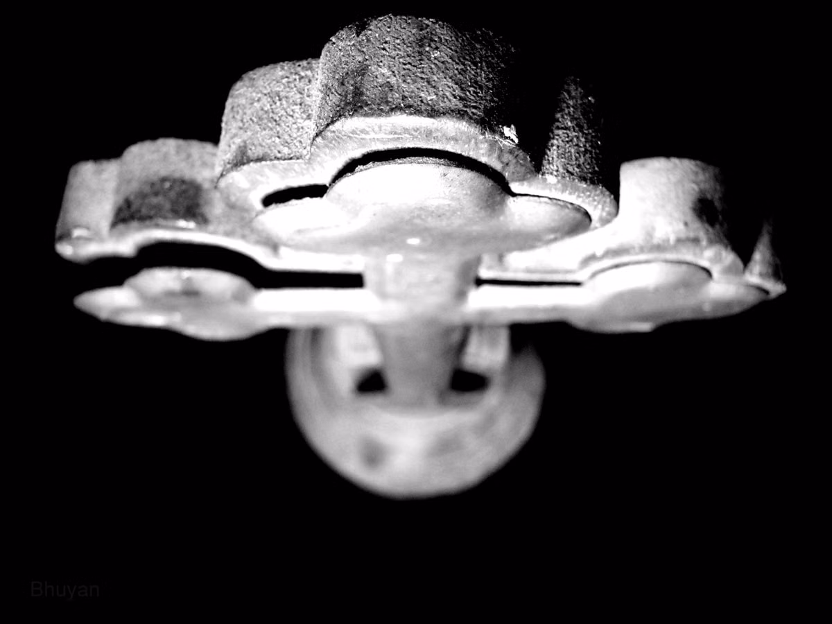 🧠 ¿Bruce Schneier Trust? ¿De Quién Estás Hablando En Serio