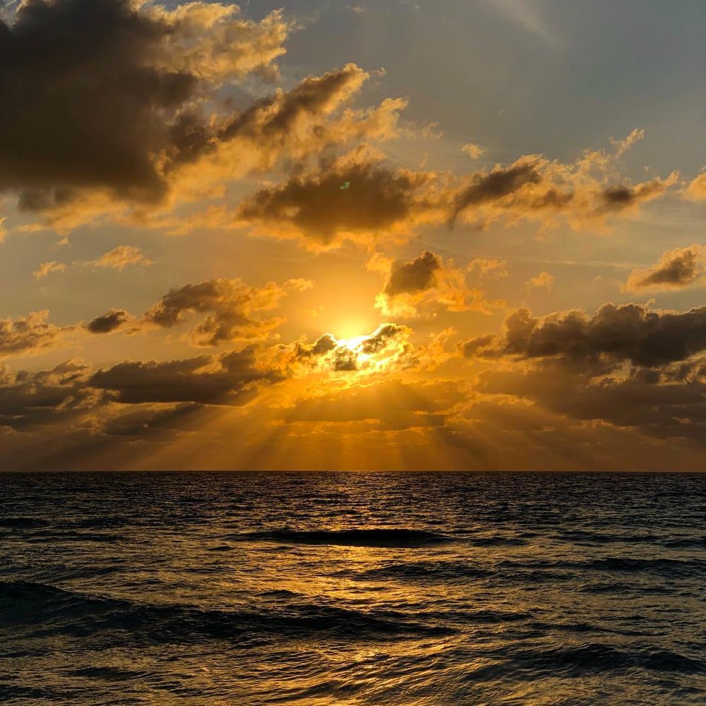 🌞 ¿El Alba Rosa Es Solo Un Emoji En Tu Mente? 🤔