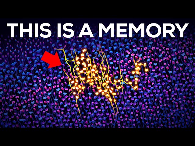 🧠 ¿Tu Mémoria Está En La Nube O En El Chip De Tu Cel