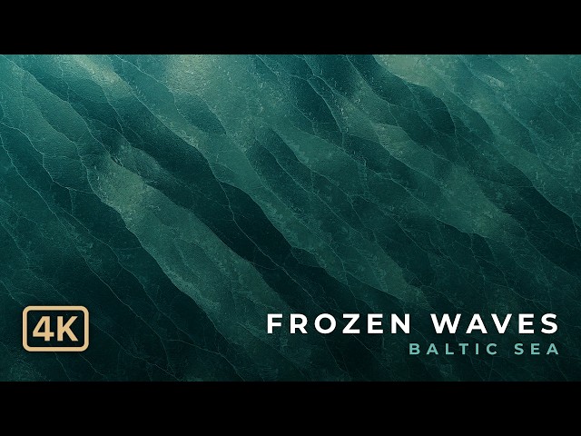 💻 ¿Frozen Polygon Waves Soluciona o Solo Congela tu Proyecto