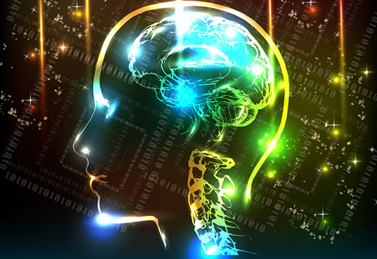 🔍 ¿2 Actividades para Tu Cerebro o Solo Finges Ser Joven
