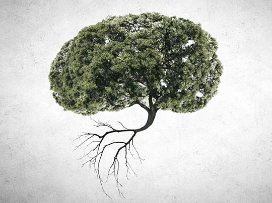 🧠 ¿Lejos de Estos Ópalos Te Mantiene Saludable