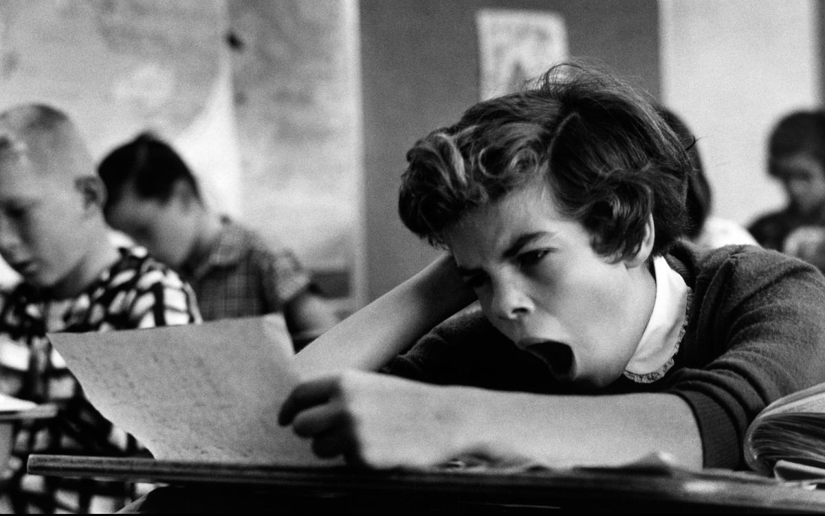 💻 ¿Sin Boredom? Mejor Hazte Monje Monk 😜