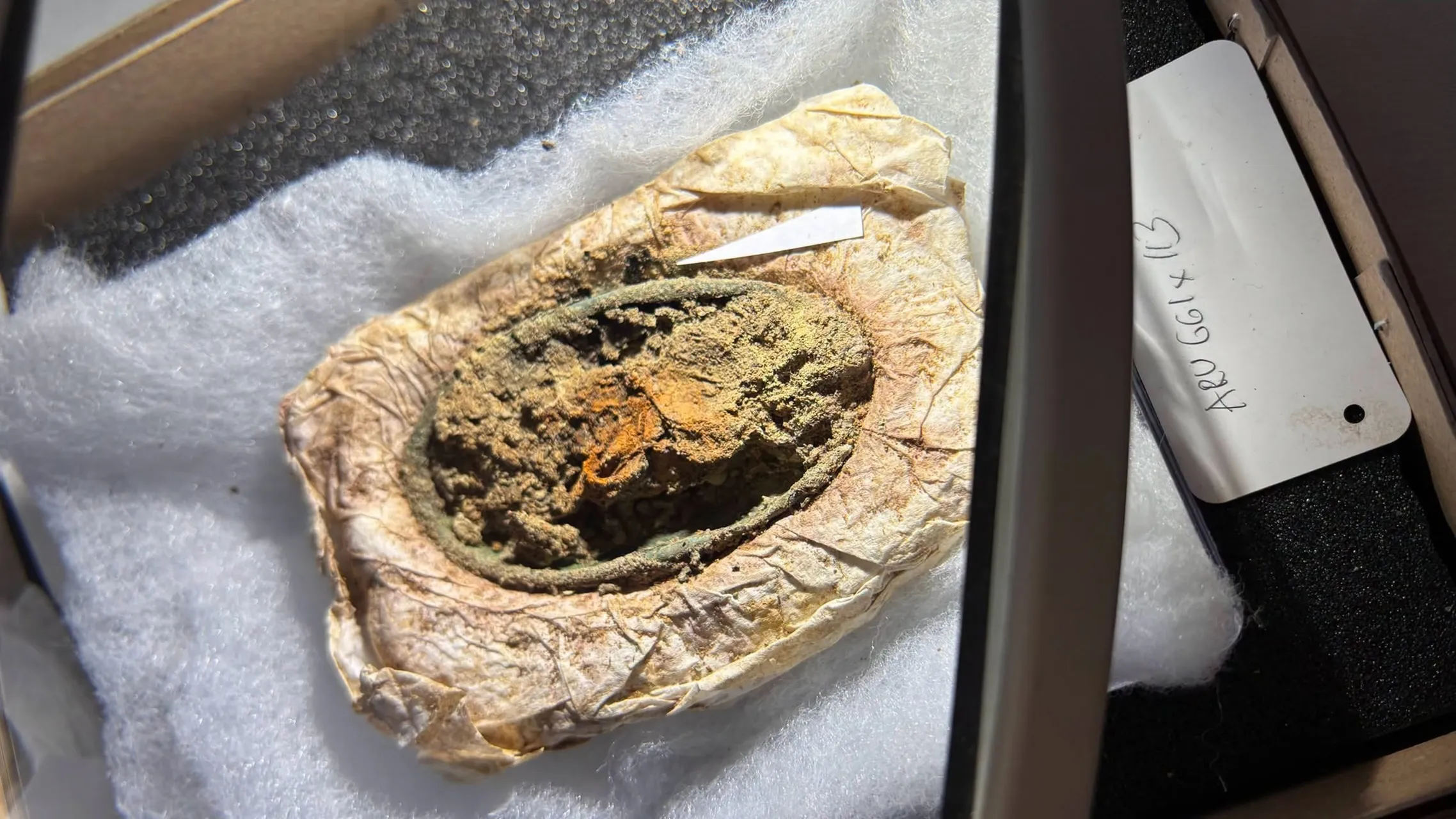 🚀 ¿Esta Camisa Vikinga Resistió 1.300 años con Puro Accesorio Metálico