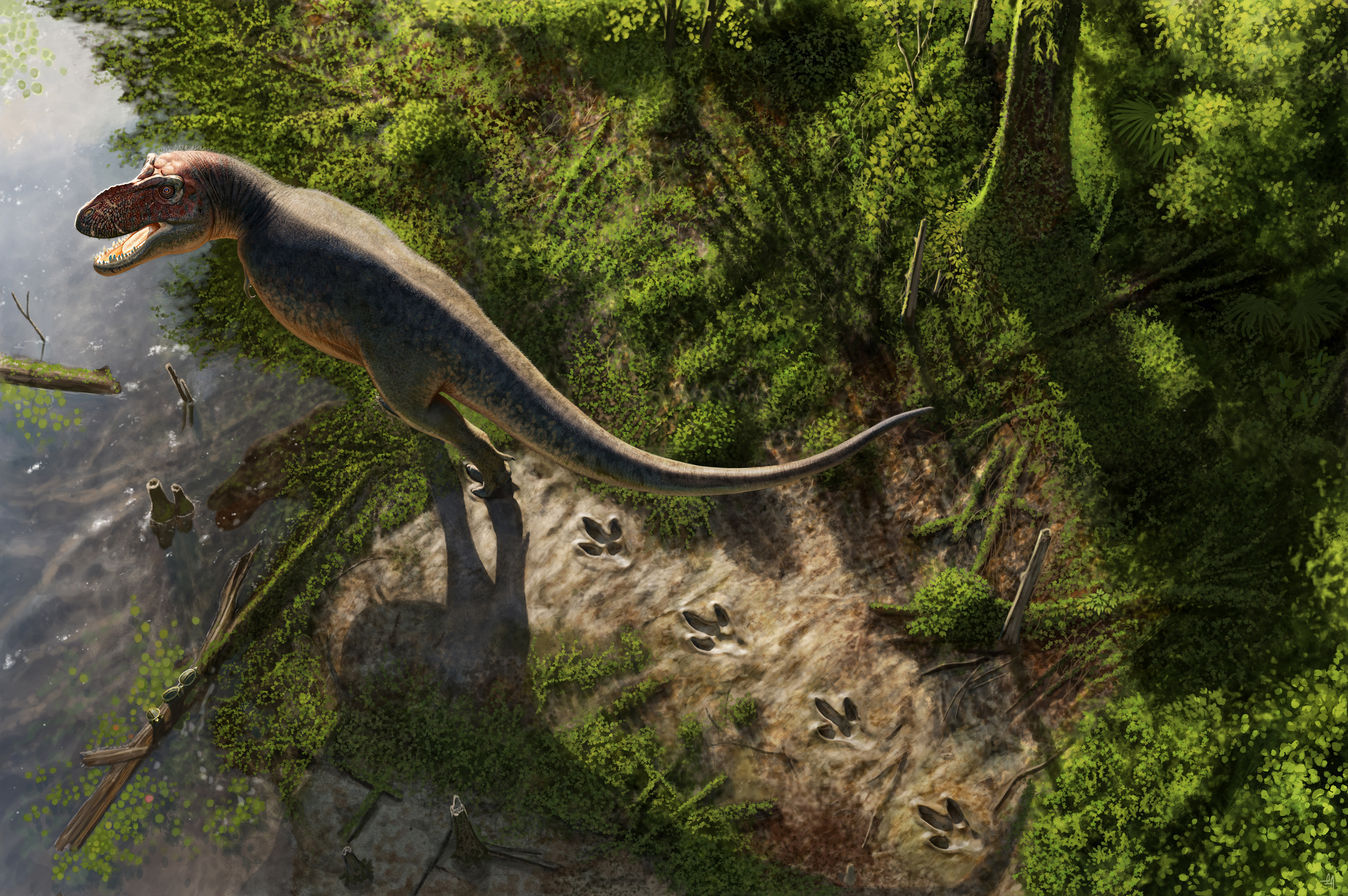 🚀 ¿Tu T-Rex de 40 Pies Se Estira o Se Caña? 🐕