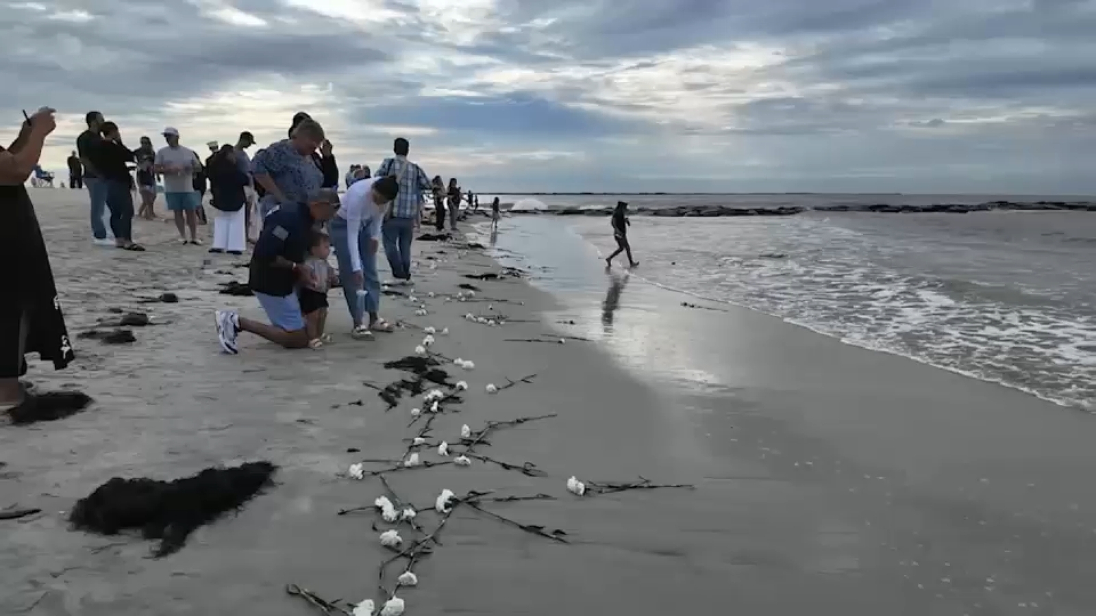 💻 ¿9/11 en Long Island: Memoria o Mercadotecnia