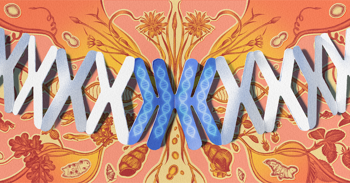 💻 ¿Genome Dupliqué o Me Rajo? ¡2023