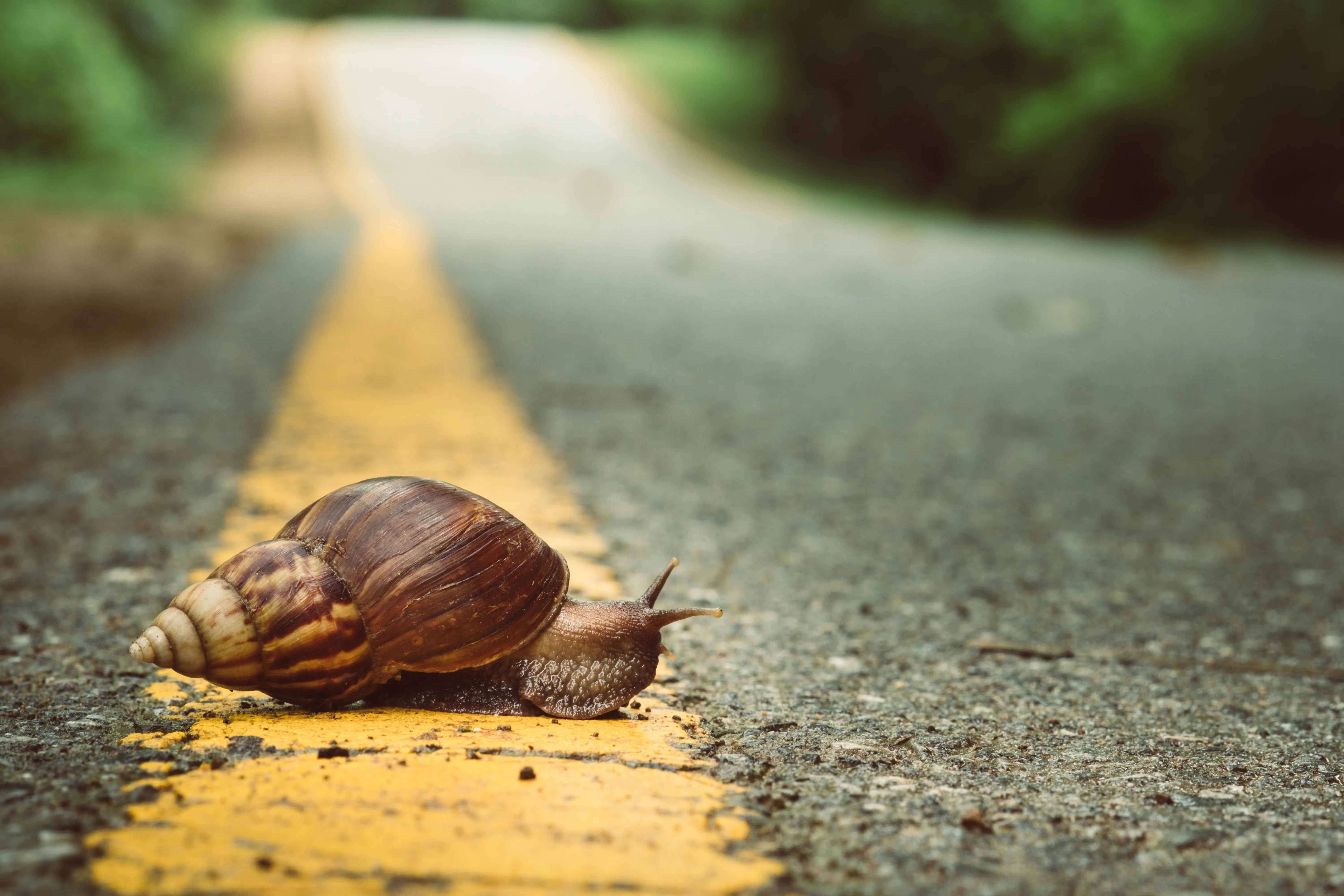 🧠 ¿10 Min de Correr Lentito Te Hacen Más Genio