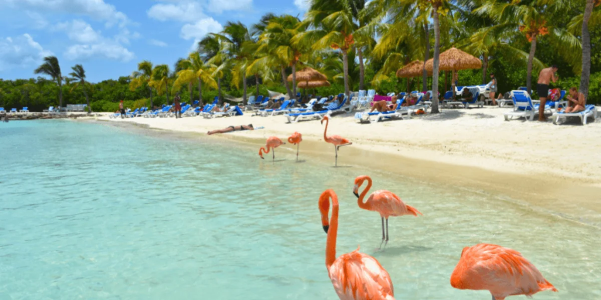 📊 ¿Aruba a $57 Perra o Sigues en México