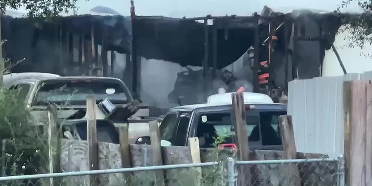 🔥 ¿Ya Usas AI para Supervisar a Tus Abuelos? 2 Muertos