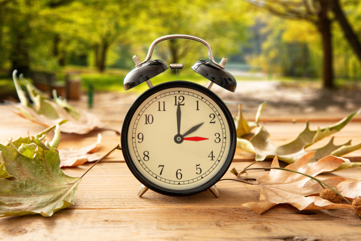 🚨 ¿Texas Se Rinde al Invierno en 2026? Horario de Dormir Más