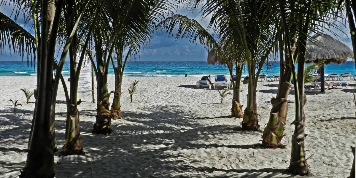 ✈️ ¿Tu Dinero Se Pone Playa o qué? 🇲🇽