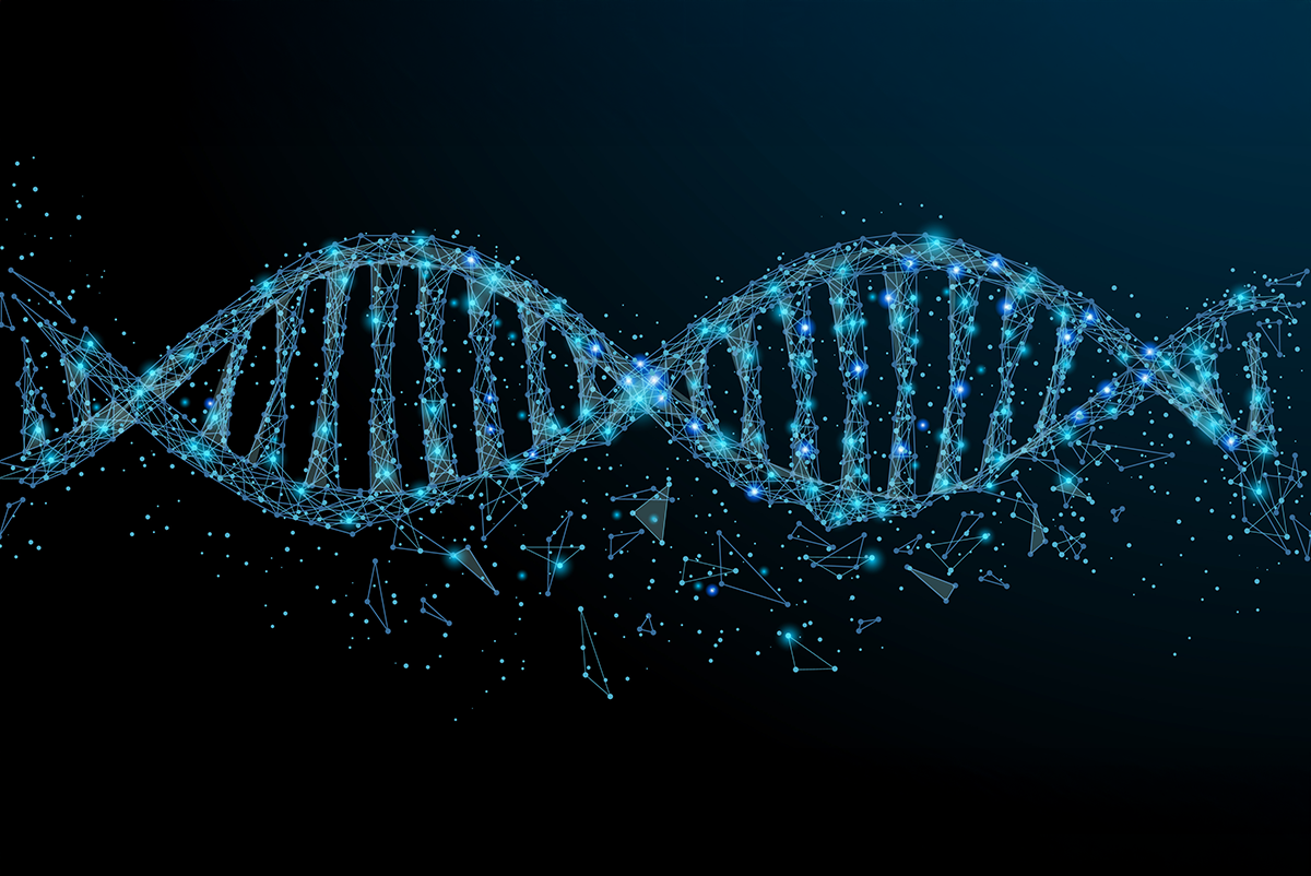 🧟♂️ ¿Tu Genoma Tiene Espectros de Homininos Extintos