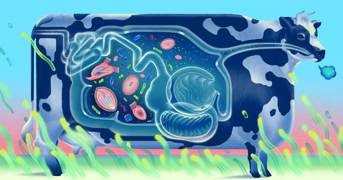 🔥 ¿El Odeón de tu Bovina Produce Qué? 3 Gases que Cambian el Clima 🐄