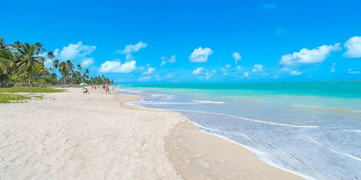 💸 ¿El Dólar a $20 es Boleto para Vacacionar a Maragogi? 🏖️