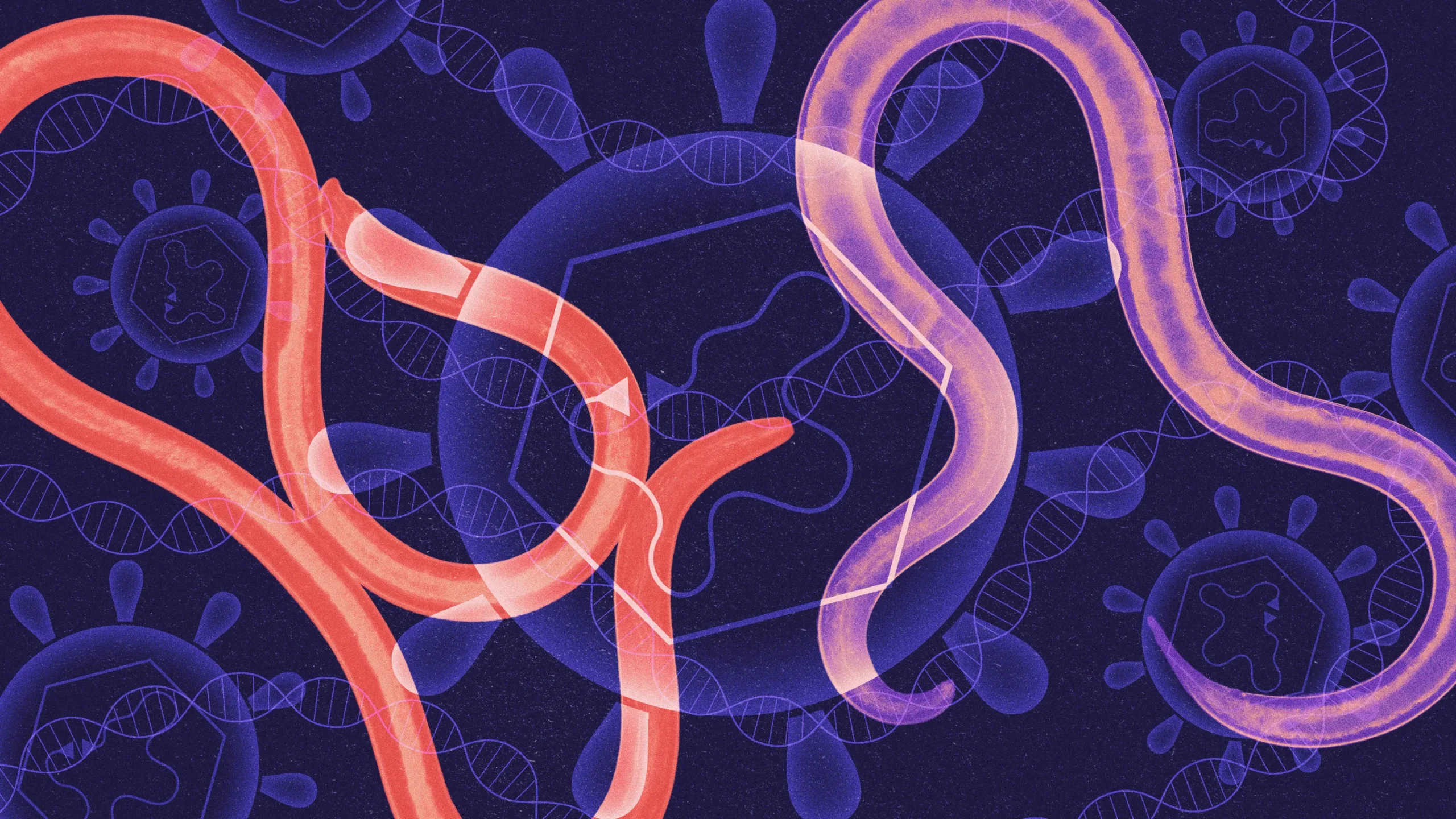 🦠 3 Gusanos Genéticos ya en Tu Orgánico? ¿Qué Pasará