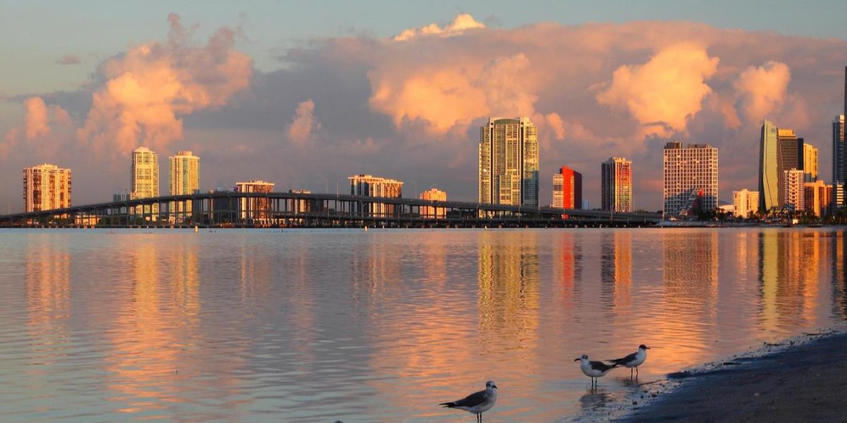 💰 ¿Miami a $602 Carry On? Jajaja, Enserio