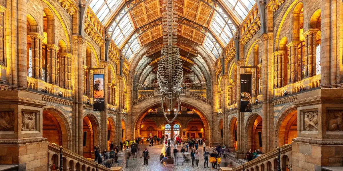 ✈️ ¿Tu Billete a Londres Cuesta Más Que 4 Cervezas