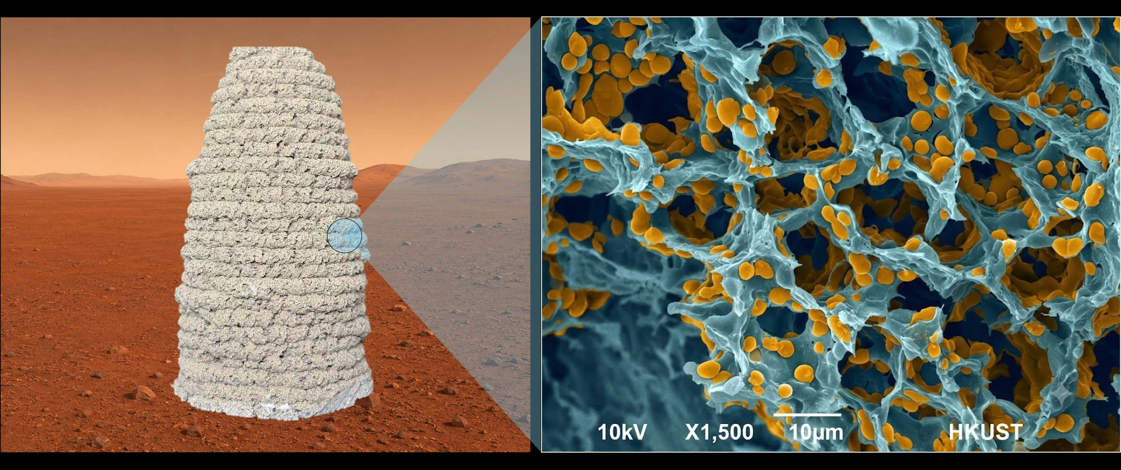 🧱 ¿Martianos Usarán Yeast Genéticamente Modificado? 5 Mx$