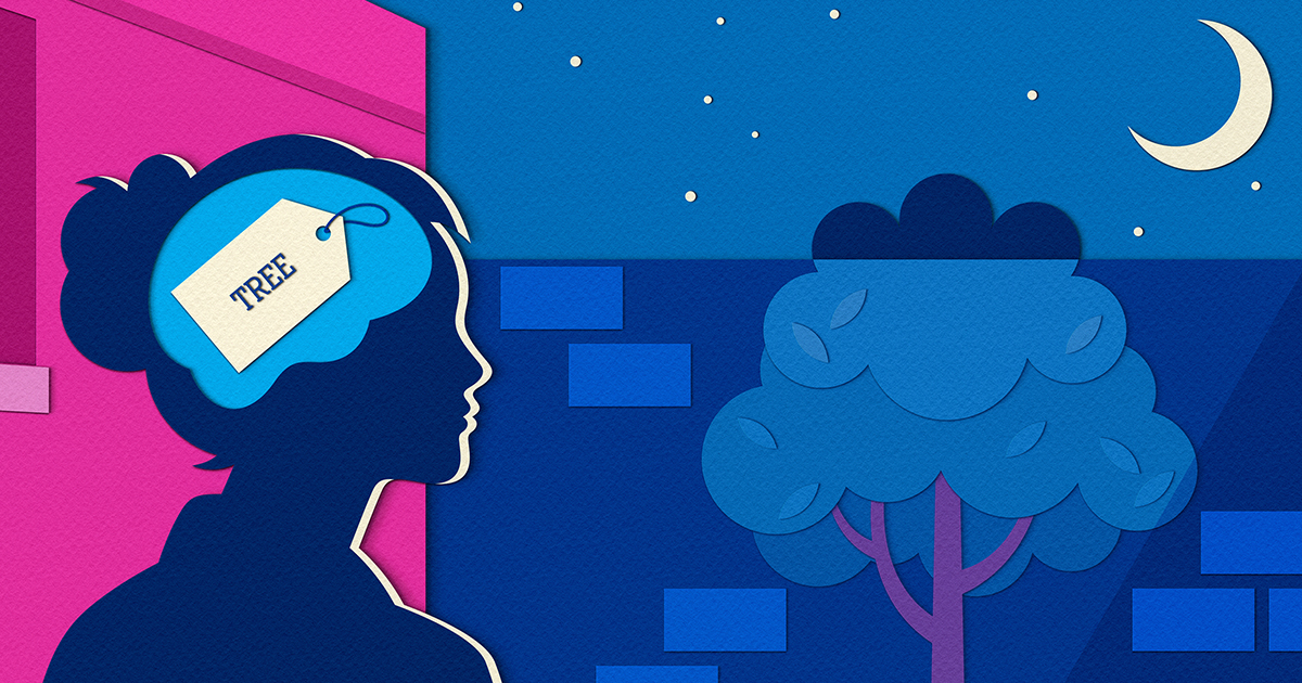 🧠 ¿Tu Cerebro Usa un Framework para Filtrar el Ruido? (2023)