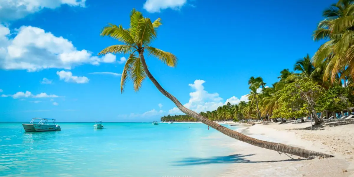 ✈️ ¿Vuelos a Punta Cana por el Precio de una Refrescita? 🤔
