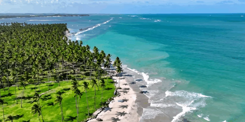 💰 ¿El Paraíso Brasilero Ya Te Paga el Salario? 🥥 U$D 591 Por Persona