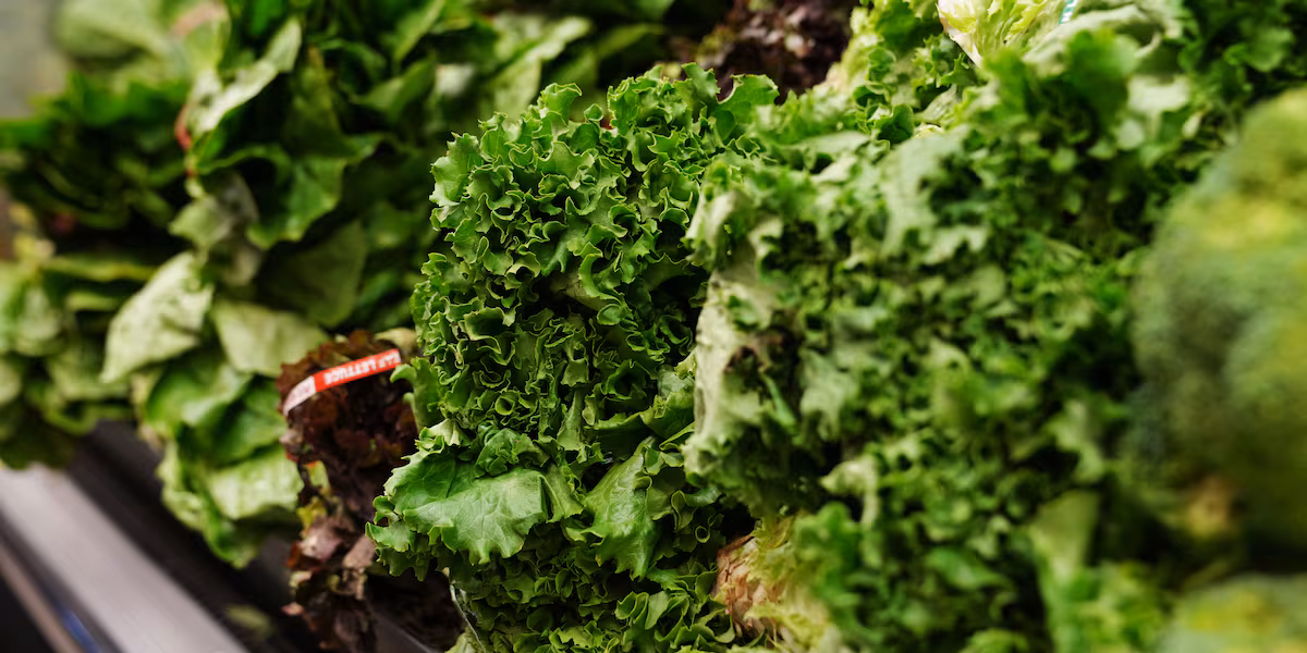 🤖 ¿Tu Lettuce Crypta o Solo Finge