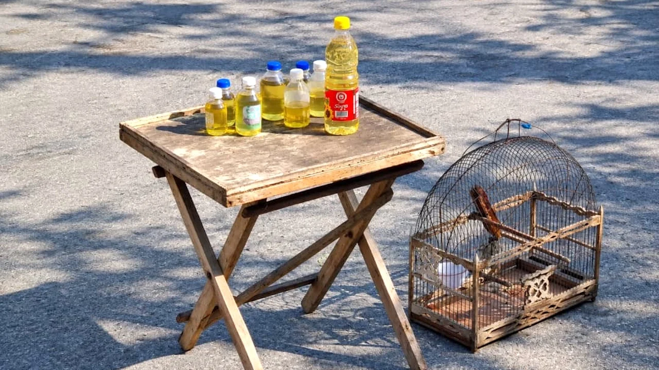🧳 ¿Cómo 1 Onza de Aceite Puede Sacudir Tu Financiera