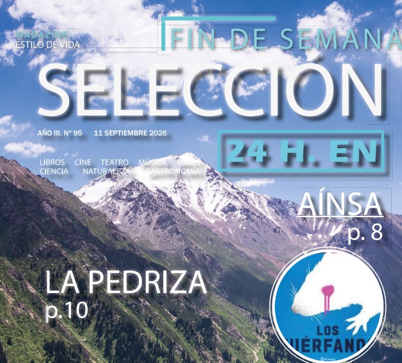 🚨 ¿El Gobierno Mata Dos Pajaros con un Planazo de Selección? Aínsa! 🤔