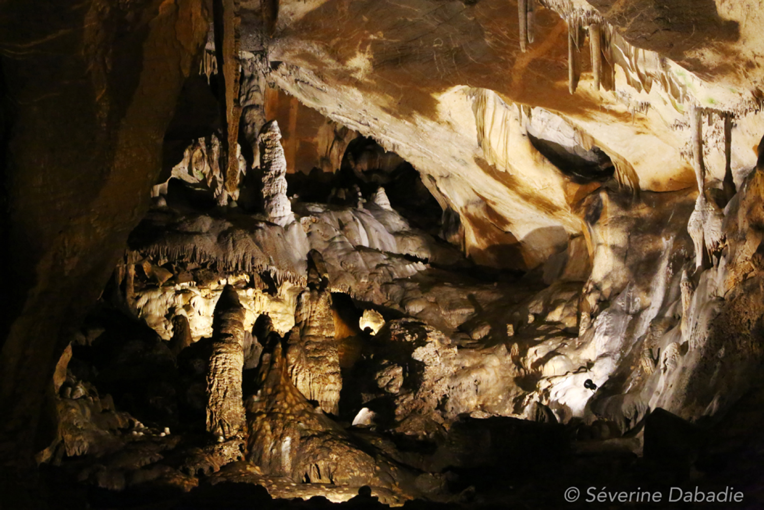 🤖 ¿Ancient Fisjas Armadas Crashtearon Tu Evolución Jaw? 🦠