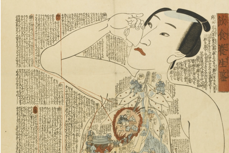 🧠 ¿Imanes Vitales o Arte Japones Viejo? 5 Grabados que Muestran tu