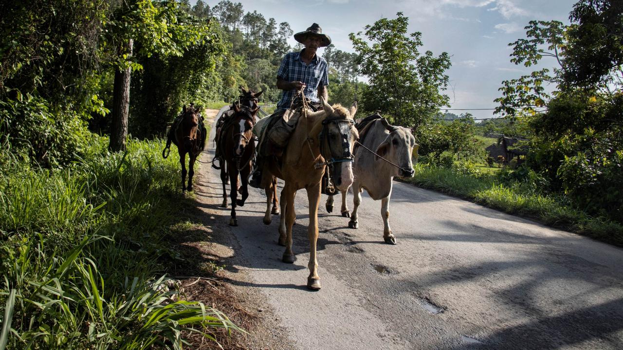 💥 ¿Cuba Libera a los Campesinos o Solo Les Abre el Valle? 🌾