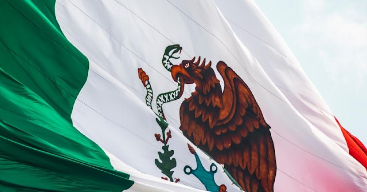 🤖 ¿Tu Financiera Te Roba o Solo Tiene Comisiones Altas
