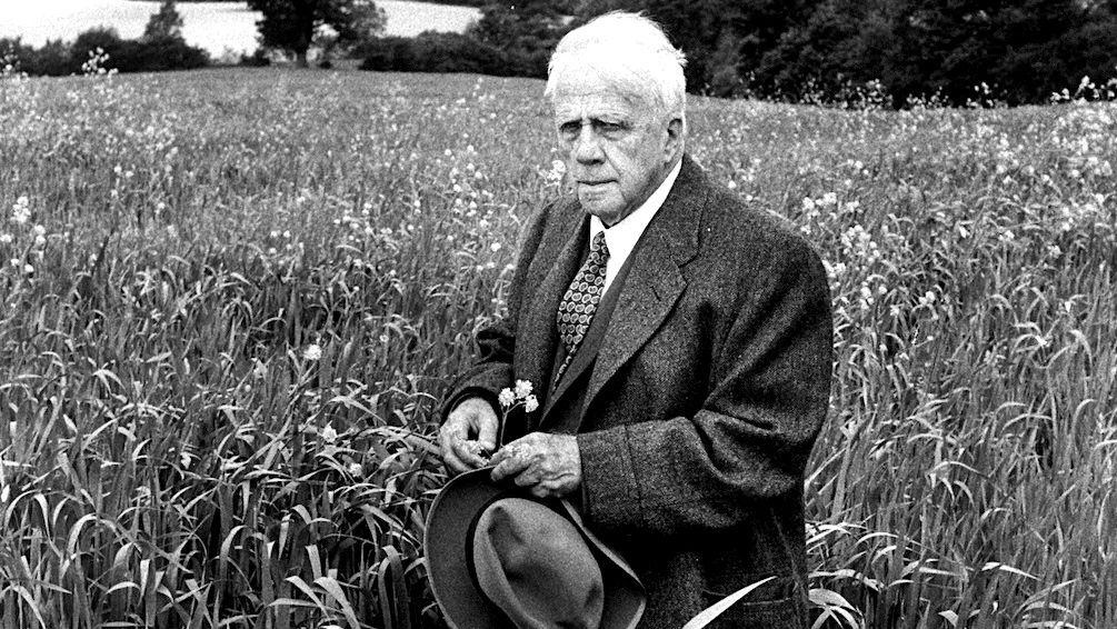 🚀 ¿Robert Frost Tejido en tu Teléfono? 4 Lineas Que Volverán Tu Vida Más