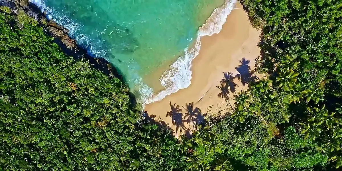 💰 ¿Tu Dinero Vale Solo U$D 1.164 en Dominicana? 🏝️ HOTEL + VUELOS