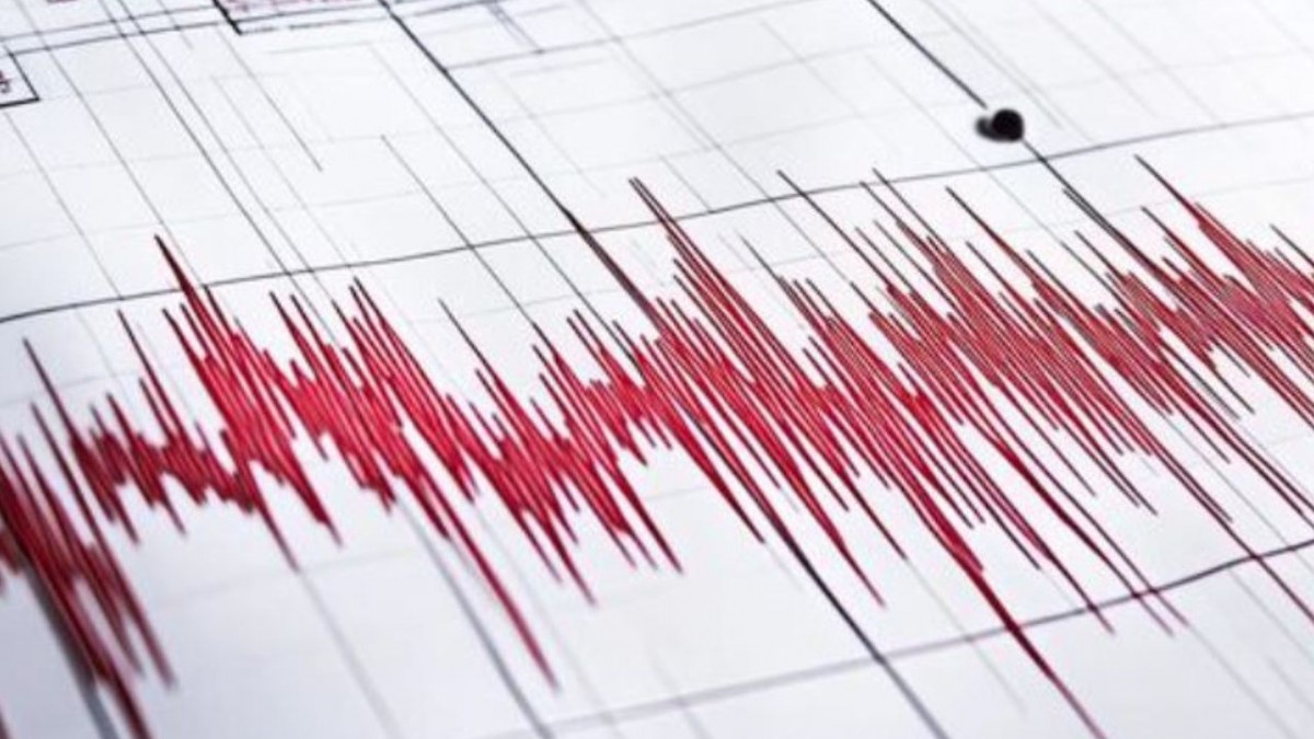 🚨 ¿Terremotos en Japón Son el Nuevo WhatsApp? 🇯🇵