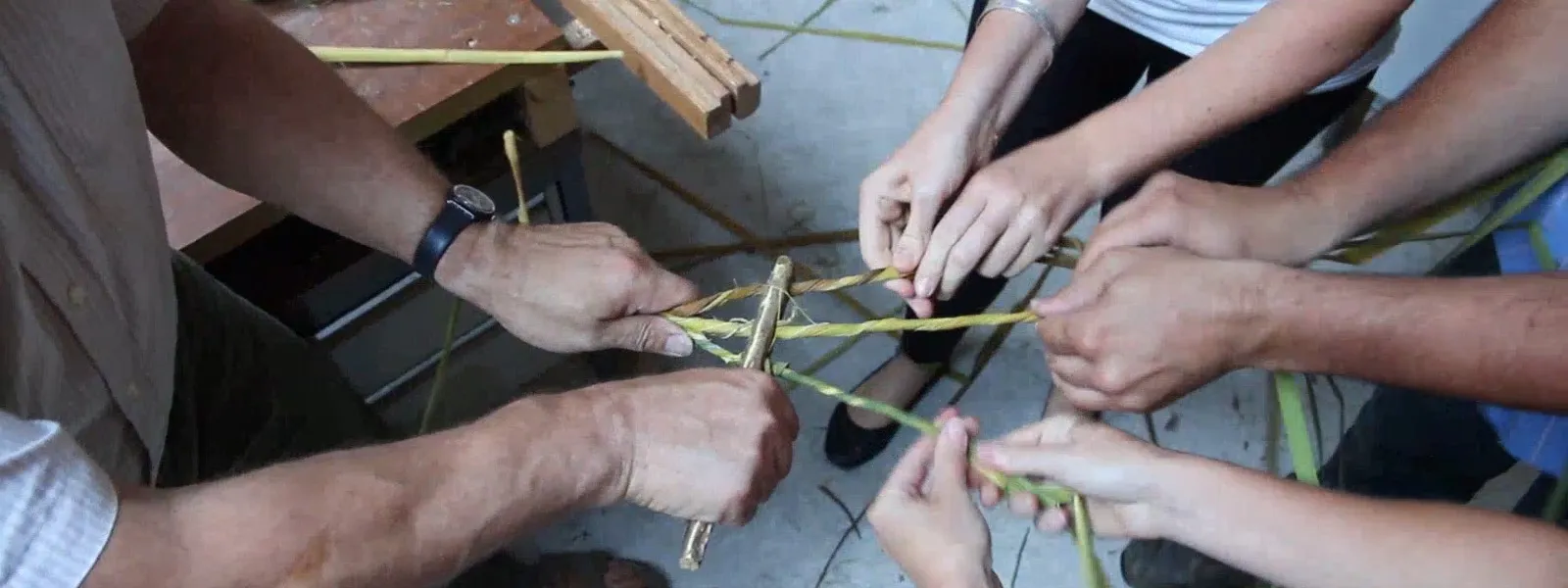 📊 ¿Rope & Twine Sólo para Los Primitivos? ¡No Lo Creas