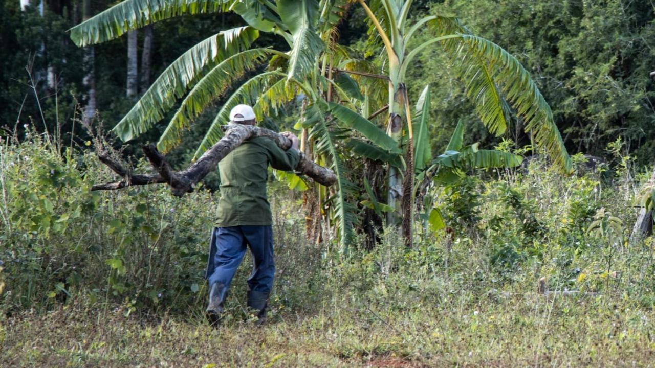/Area verde 🌿 ¿La Nueva Ley de Tierras en Cuba Es Solo un Taparrabos